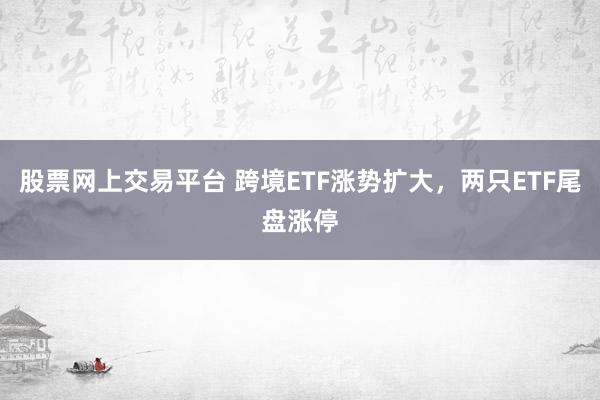 股票网上交易平台 跨境ETF涨势扩大，两只ETF尾盘涨停