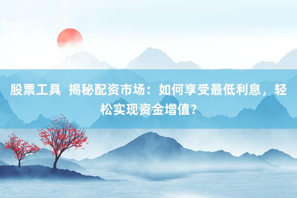 股票工具  揭秘配资市场：如何享受最低利息，轻松实现资金增值？