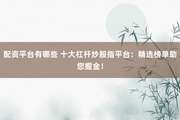 配资平台有哪些 十大杠杆炒股指平台：精选榜单助您掘金！