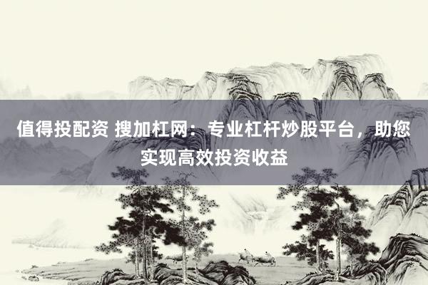 值得投配资 搜加杠网：专业杠杆炒股平台，助您实现高效投资收益