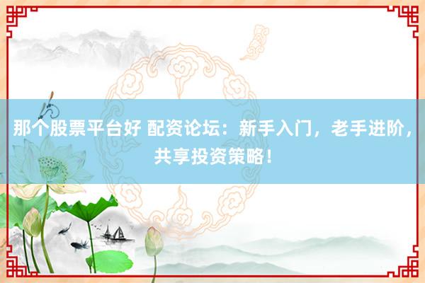 那个股票平台好 配资论坛：新手入门，老手进阶，共享投资策略！