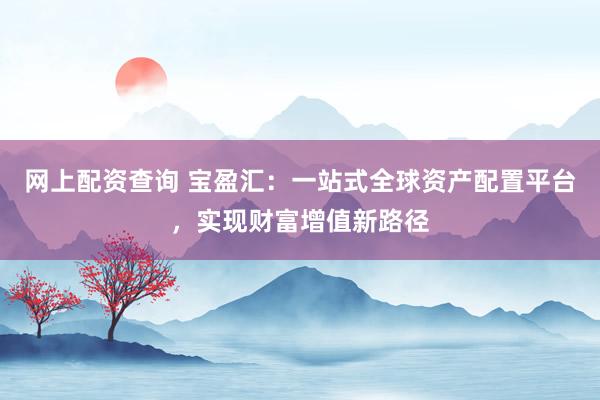 网上配资查询 宝盈汇：一站式全球资产配置平台，实现财富增值新路径