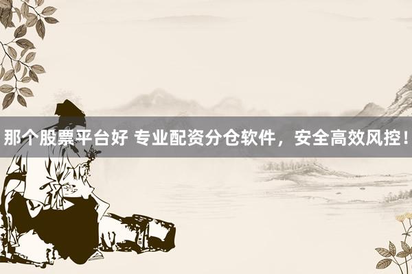 那个股票平台好 专业配资分仓软件，安全高效风控！