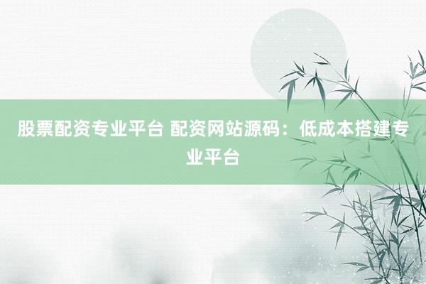股票配资专业平台 配资网站源码：低成本搭建专业平台