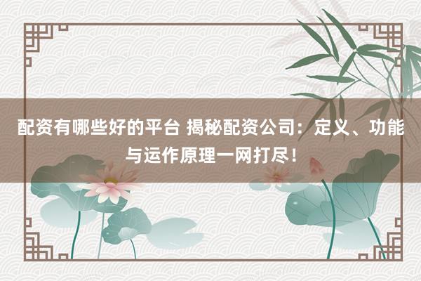 配资有哪些好的平台 揭秘配资公司：定义、功能与运作原理一网打尽！