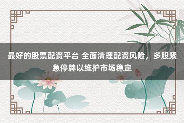 最好的股票配资平台 全面清理配资风险，多股紧急停牌以维护市场稳定