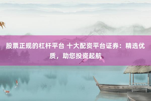 股票正规的杠杆平台 十大配资平台证券：精选优质，助您投资起航