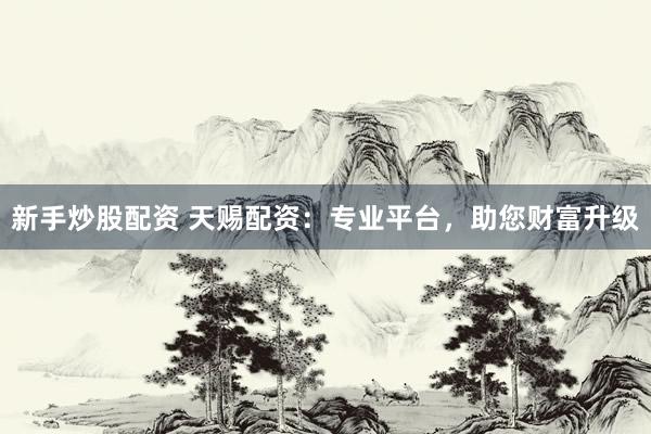 新手炒股配资 天赐配资：专业平台，助您财富升级