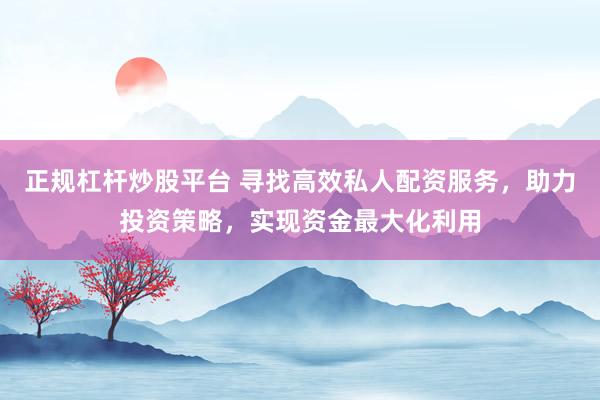 正规杠杆炒股平台 寻找高效私人配资服务，助力投资策略，实现资金最大化利用