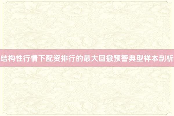 结构性行情下配资排行的最大回撤预警典型样本剖析
