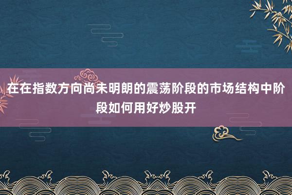 在在指数方向尚未明朗的震荡阶段的市场结构中阶段如何用好炒股开