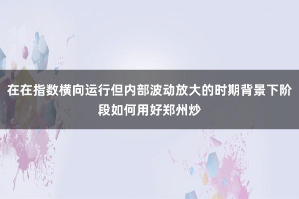 在在指数横向运行但内部波动放大的时期背景下阶段如何用好郑州炒