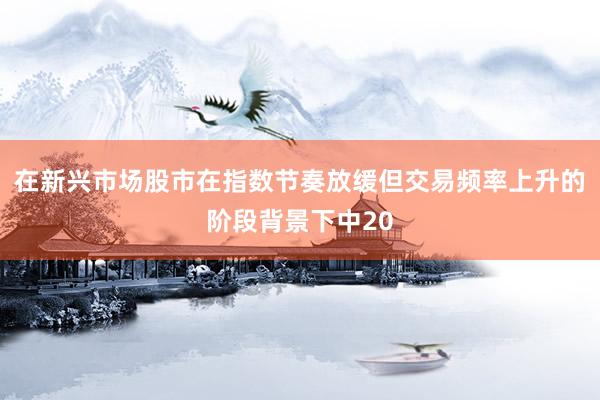 在新兴市场股市在指数节奏放缓但交易频率上升的阶段背景下中20