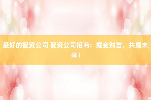 最好的配资公司 配资公司招商:掘金财富,共赢未来!